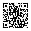 [www.hdmayi.com]钢铁侠2.2010.1080P.BD-MP4.国英双语.中英特效字幕的二维码