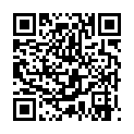 [Hacchi Fansub]_Seitokai Yakuindomo Movie [DVD 480p][H264 AAC 8 Bits] [4153CFFE].mkv的二维码