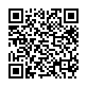 [Koten_Gars] Boruto - Box Set 2 [BD][Hi10][1080p][DTS-HD MA] (Dual Audio)的二维码
