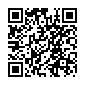 2013.钢铁侠3.BD1080P英语中英双字[www.bdsee.cn].mp4的二维码