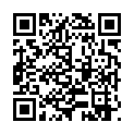 [MeruMeruSubs] Rockman EXE the Movie - Program of Light and Darkness v2 [BB7A8E2C].mkv的二维码
